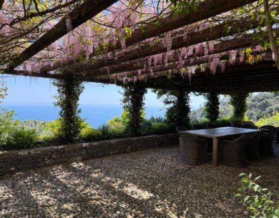 COVERED OUTDOOR DINING